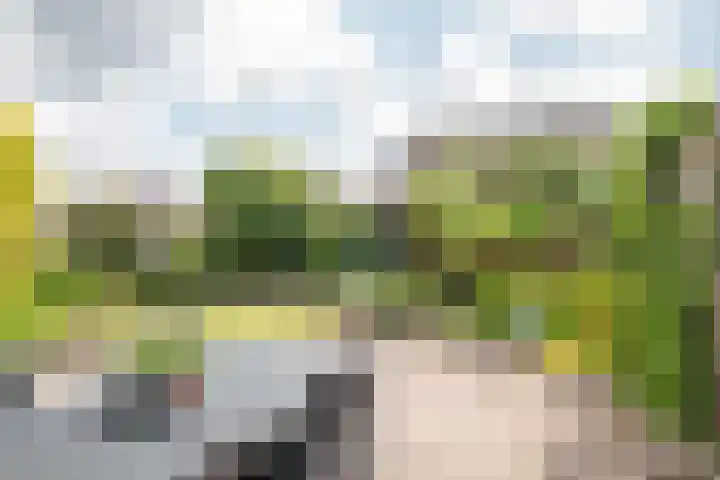 Allemansweg 10 Losser thumbnail 37