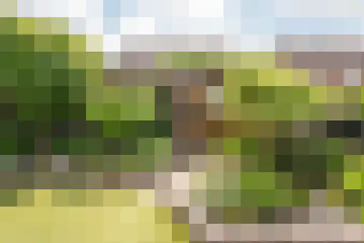Allemansweg 10 Losser thumbnail 38