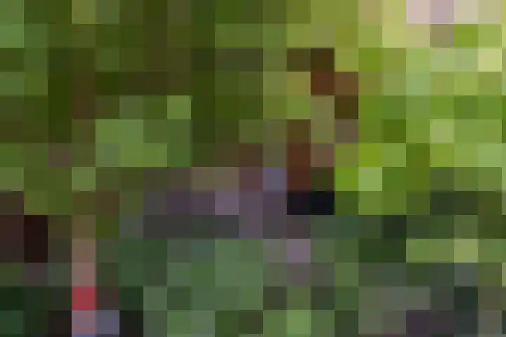 Allemansweg 10 Losser thumbnail 39