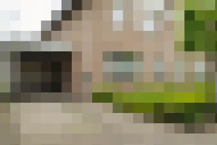 Allemansweg 10 Losser thumbnail 4