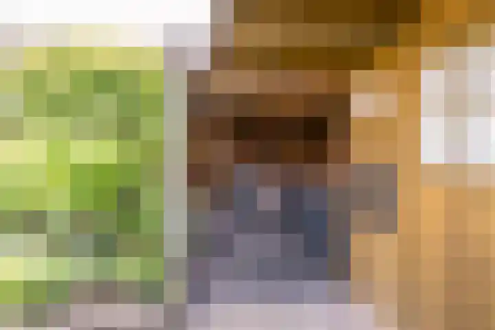 Allemansweg 10 Losser thumbnail 40