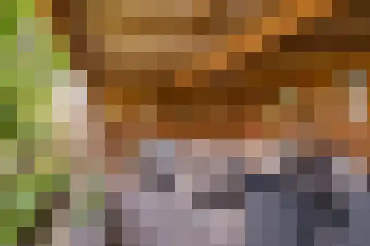 Allemansweg 10 Losser thumbnail 41
