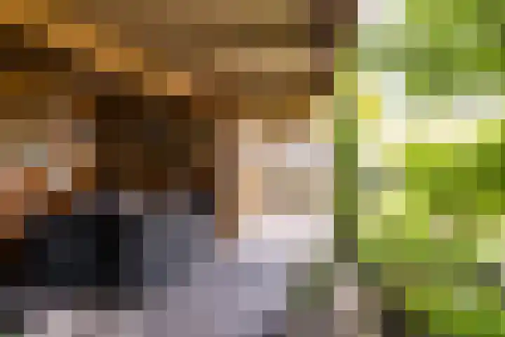 Allemansweg 10 Losser thumbnail 42