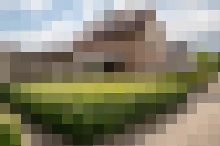 Allemansweg 10 Losser thumbnail 44