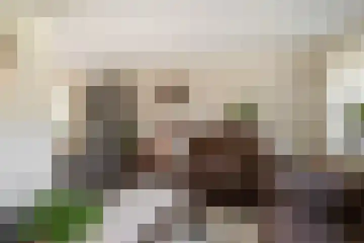 Allemansweg 10 Losser thumbnail 7