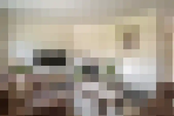 Allemansweg 10 Losser thumbnail 8