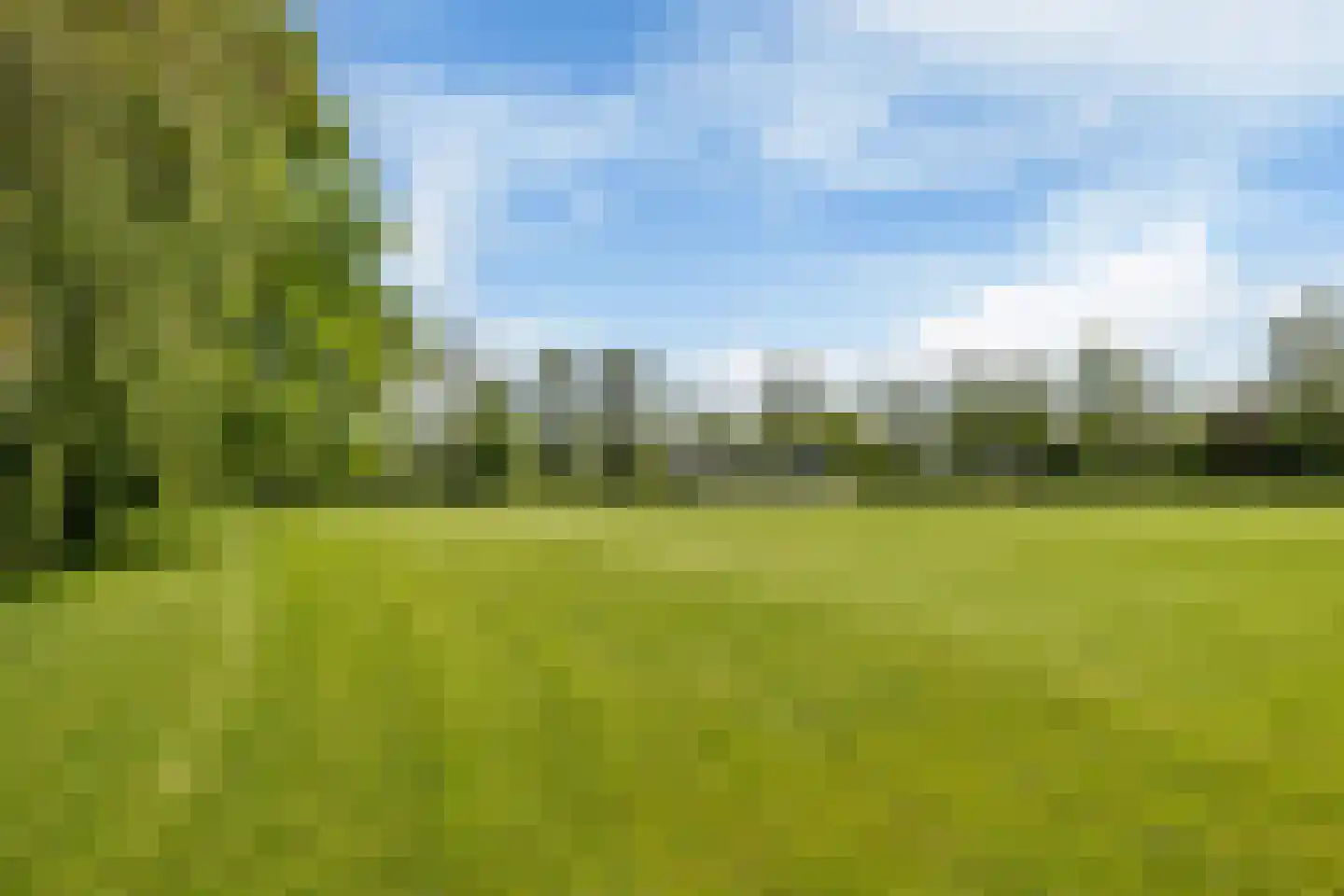 Allemawei 3 Aldwâld thumbnail 10