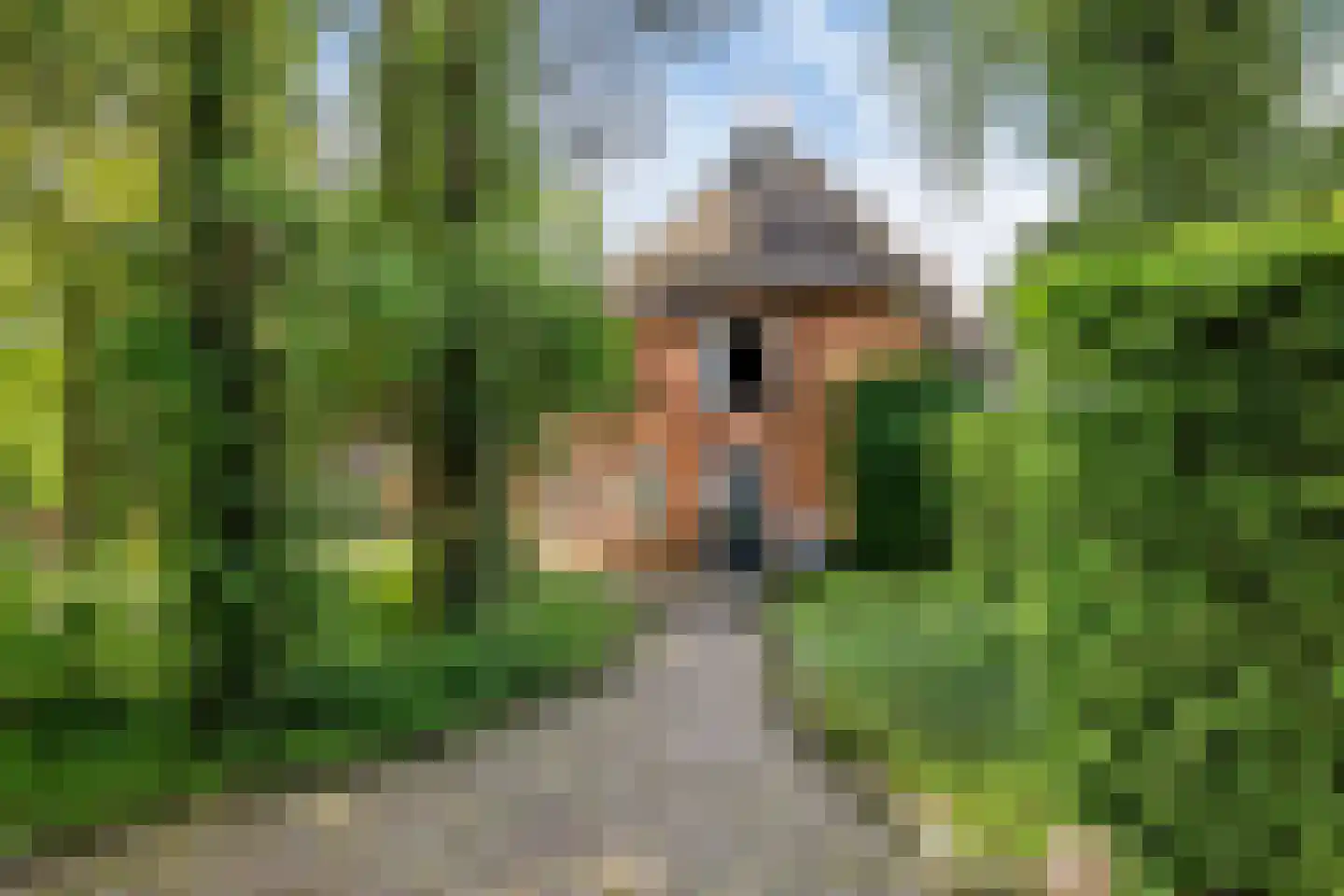 Allemawei 3 Aldwâld thumbnail 100