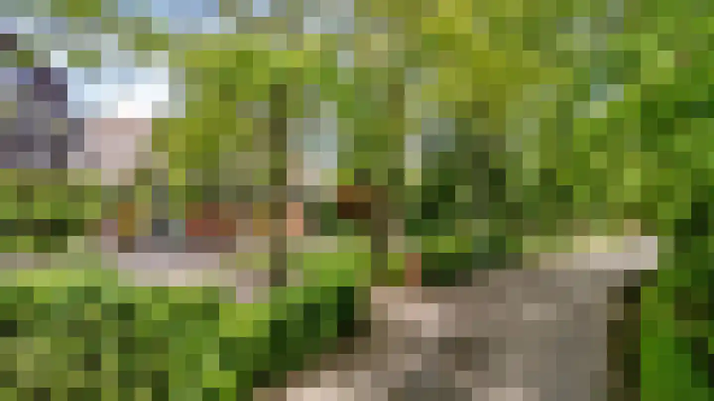 Allemawei 3 Aldwâld thumbnail 103