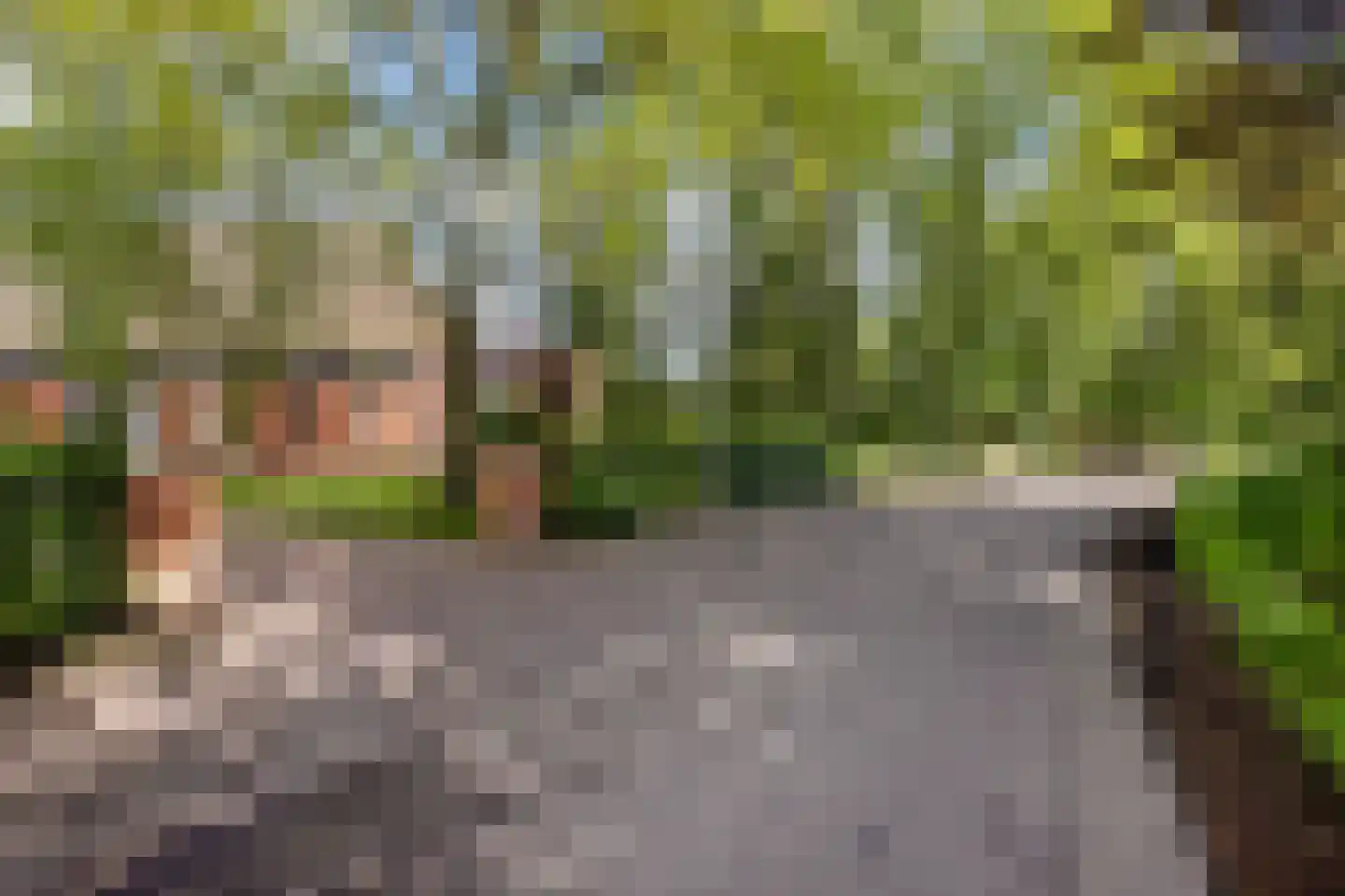 Allemawei 3 Aldwâld thumbnail 106