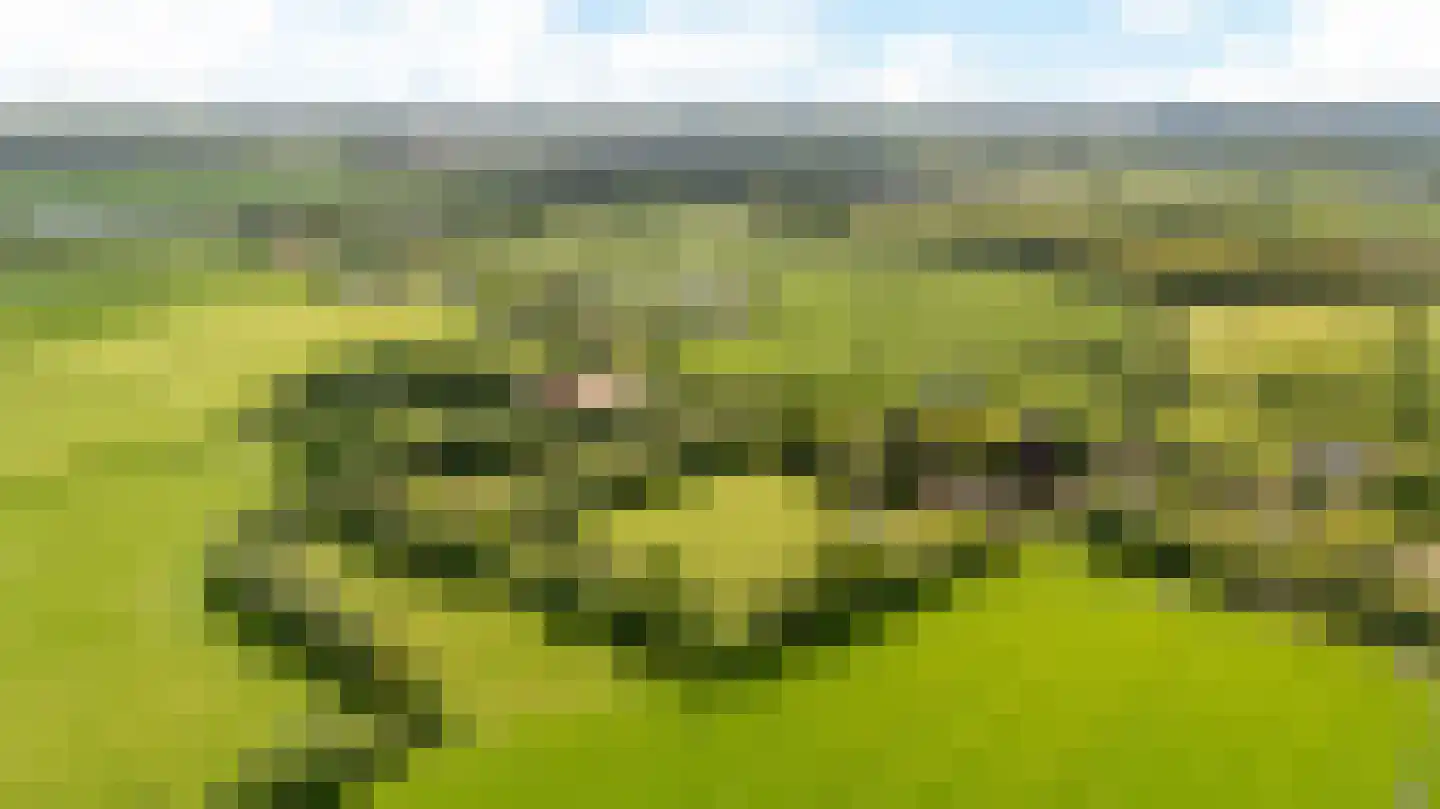 Allemawei 3 Aldwâld thumbnail 107