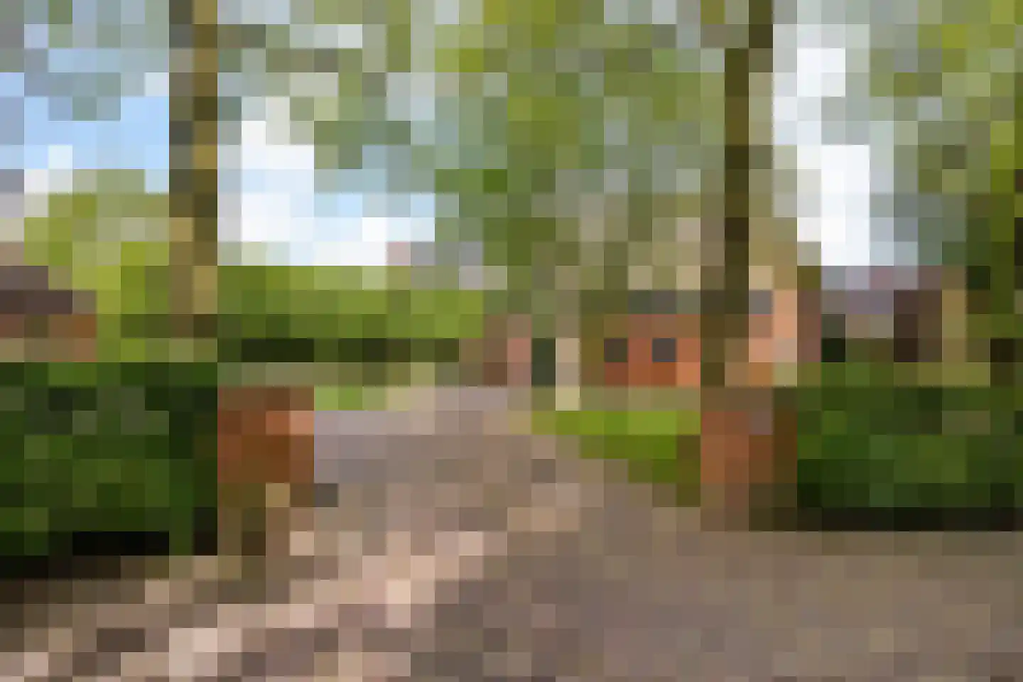 Allemawei 3 Aldwâld thumbnail 109