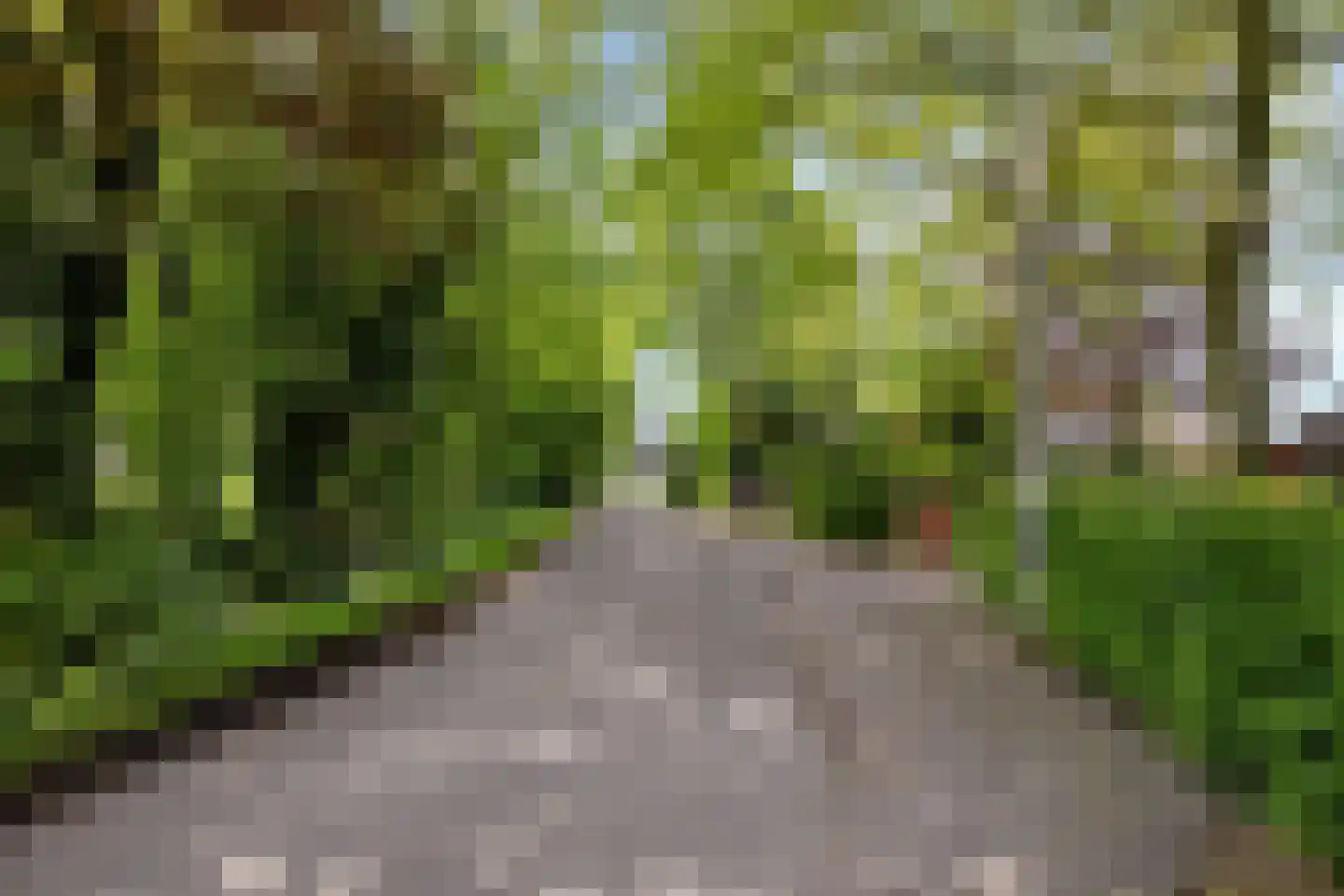 Allemawei 3 Aldwâld thumbnail 11