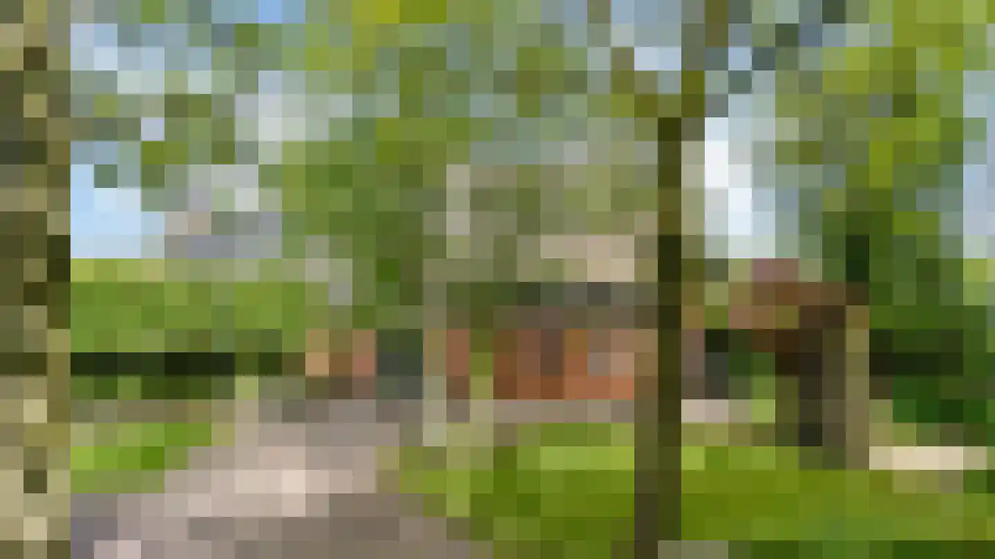 Allemawei 3 Aldwâld thumbnail 110