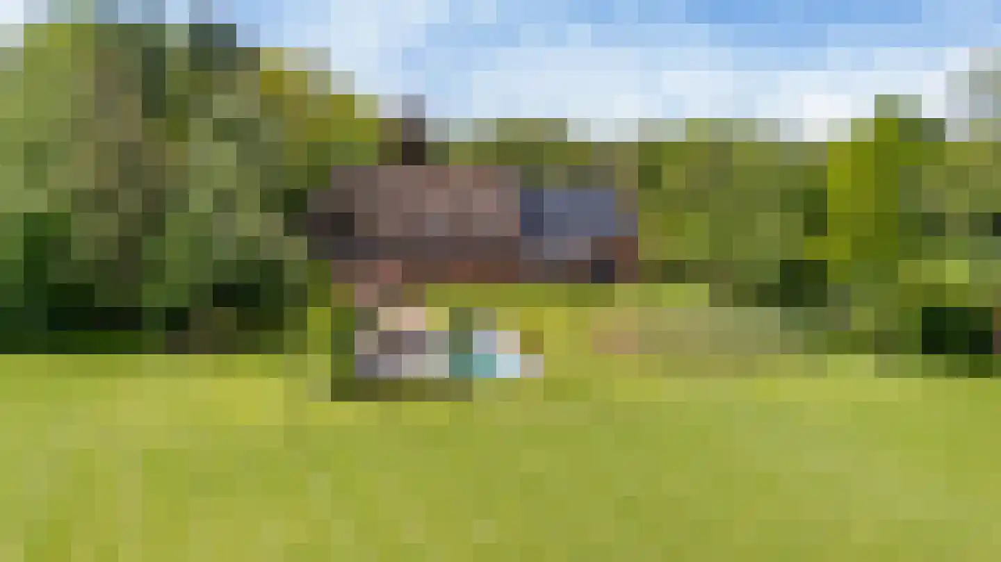 Allemawei 3 Aldwâld thumbnail 111