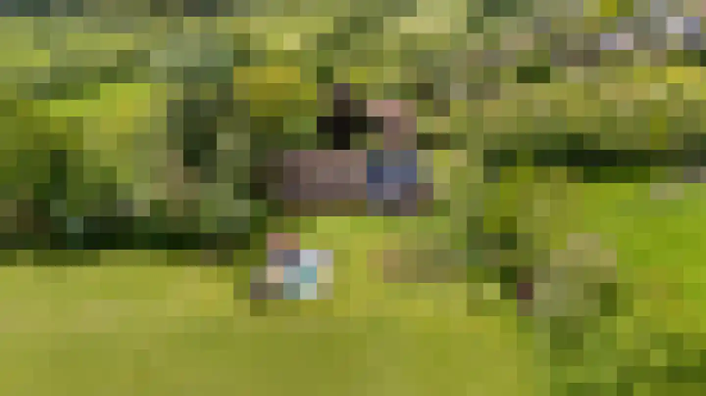 Allemawei 3 Aldwâld thumbnail 112