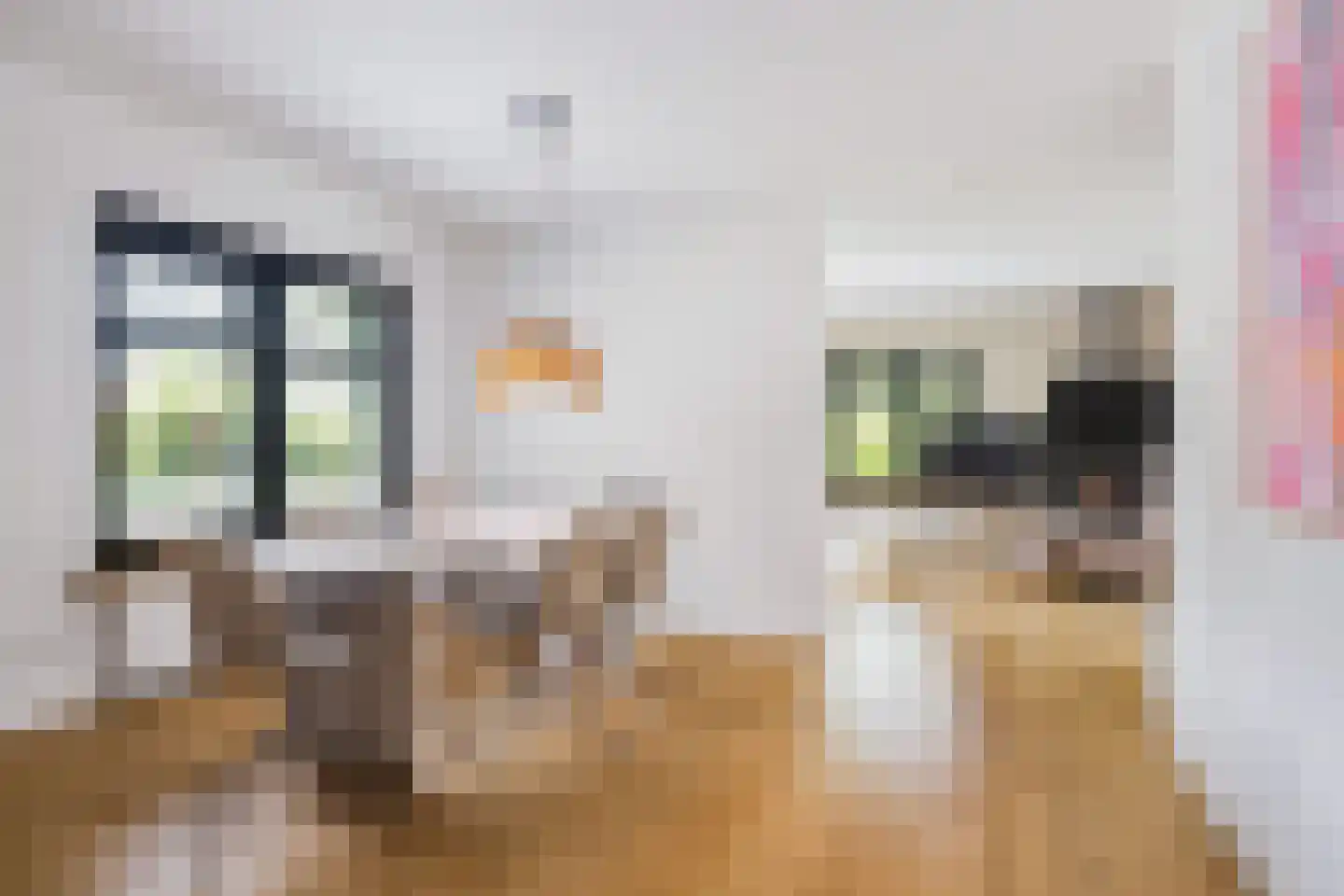 Allemawei 3 Aldwâld thumbnail 18