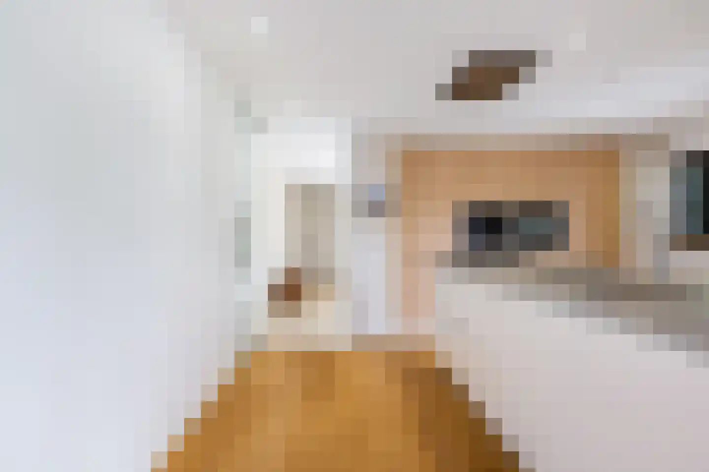 Allemawei 3 Aldwâld thumbnail 28