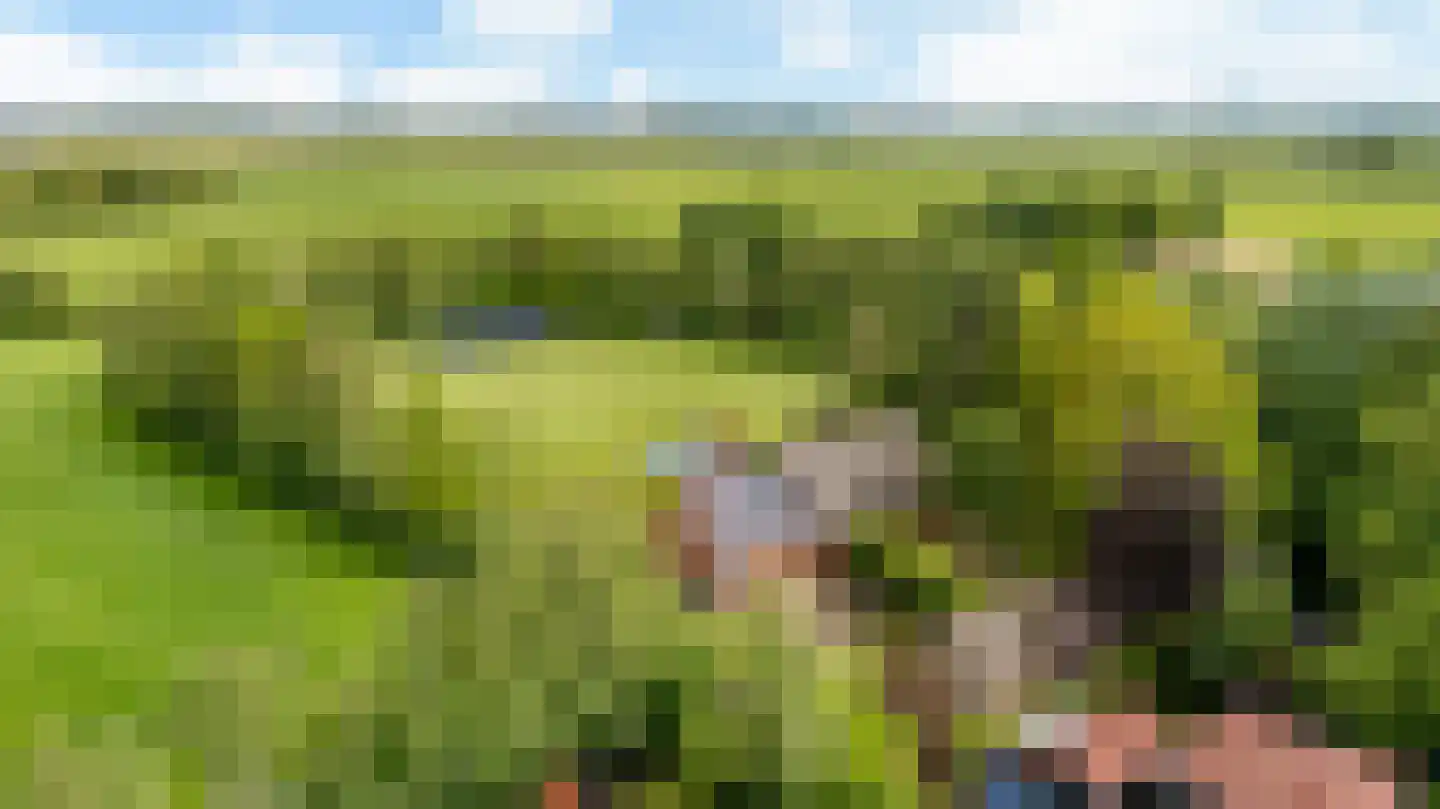 Allemawei 3 Aldwâld thumbnail 4