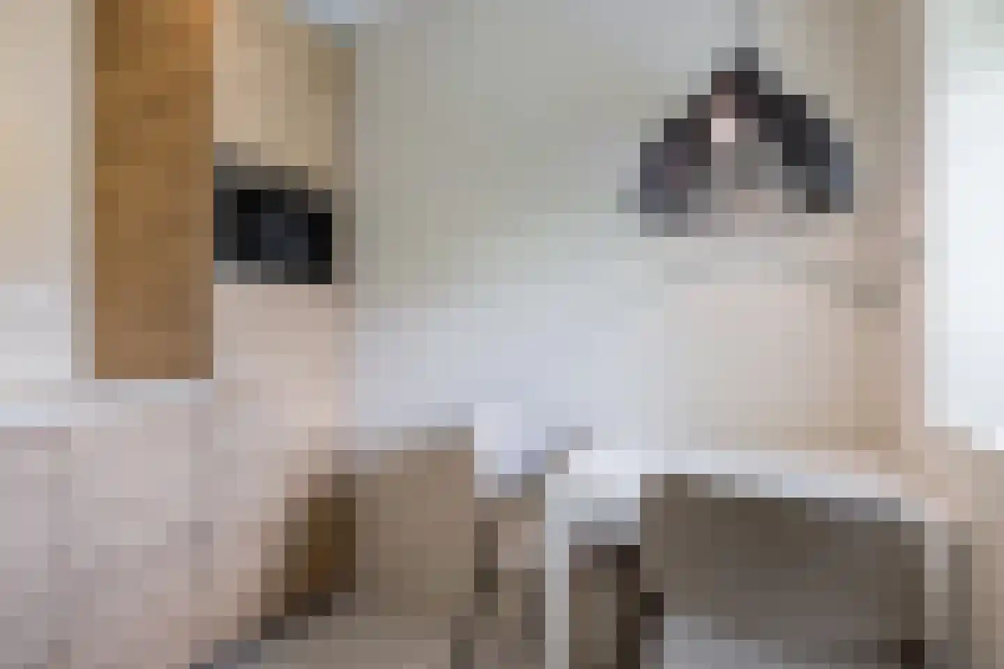 Allemawei 3 Aldwâld thumbnail 45