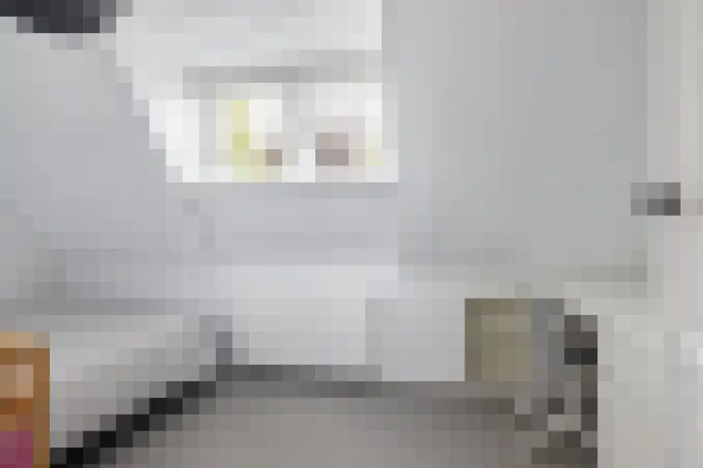 Allemawei 3 Aldwâld thumbnail 55