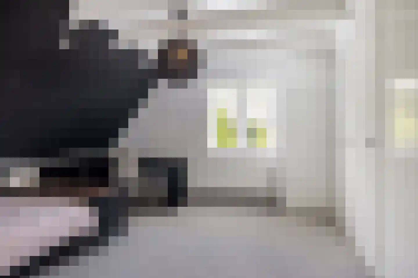 Allemawei 3 Aldwâld thumbnail 57