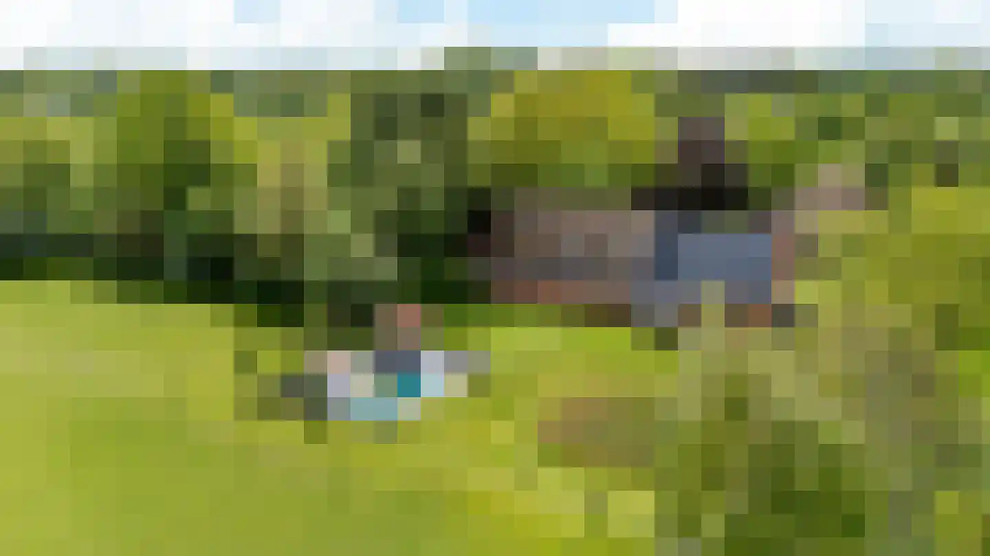 Allemawei 3 Aldwâld thumbnail 6