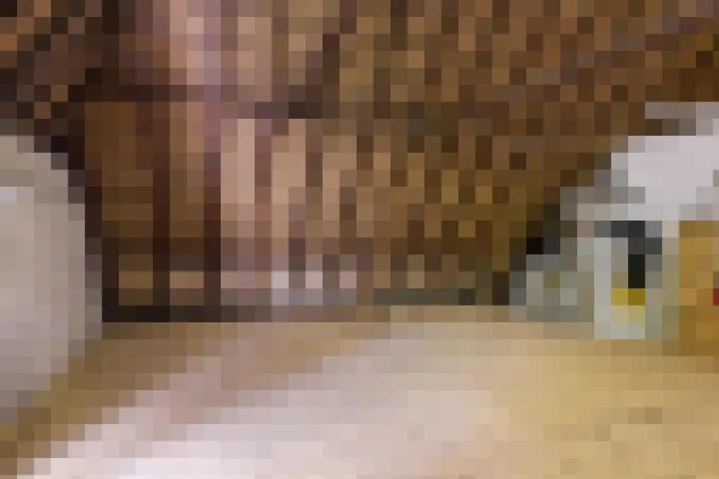 Allemawei 3 Aldwâld thumbnail 69