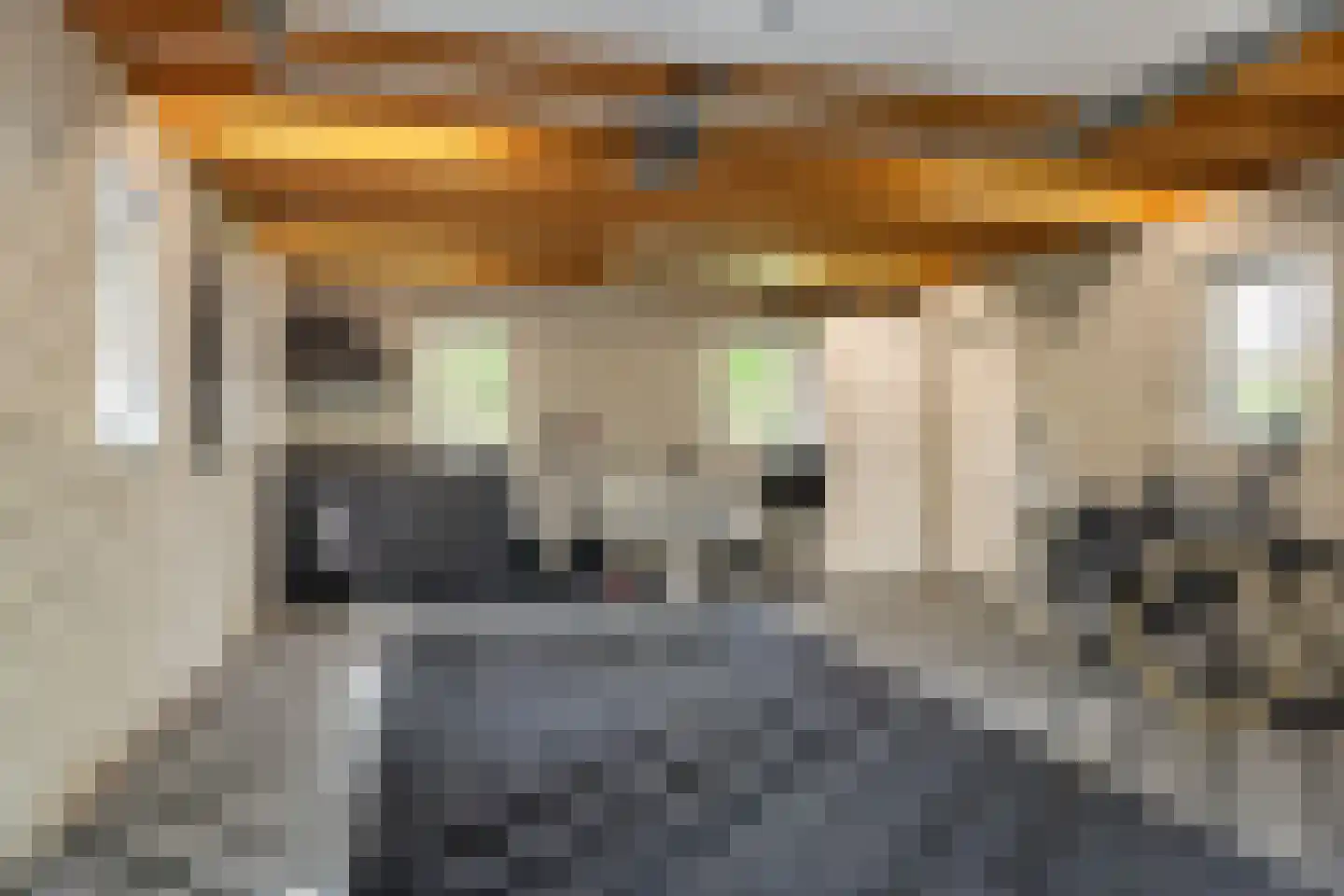 Allemawei 3 Aldwâld thumbnail 71