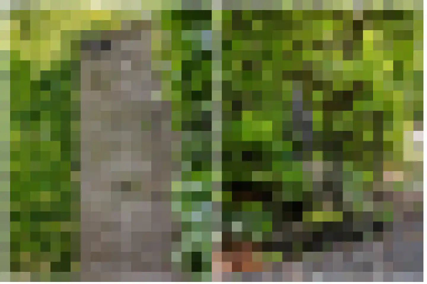 Allemawei 3 Aldwâld thumbnail 85