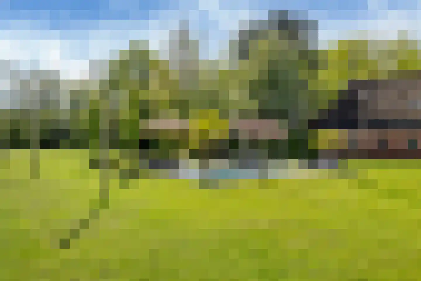 Allemawei 3 Aldwâld thumbnail 87