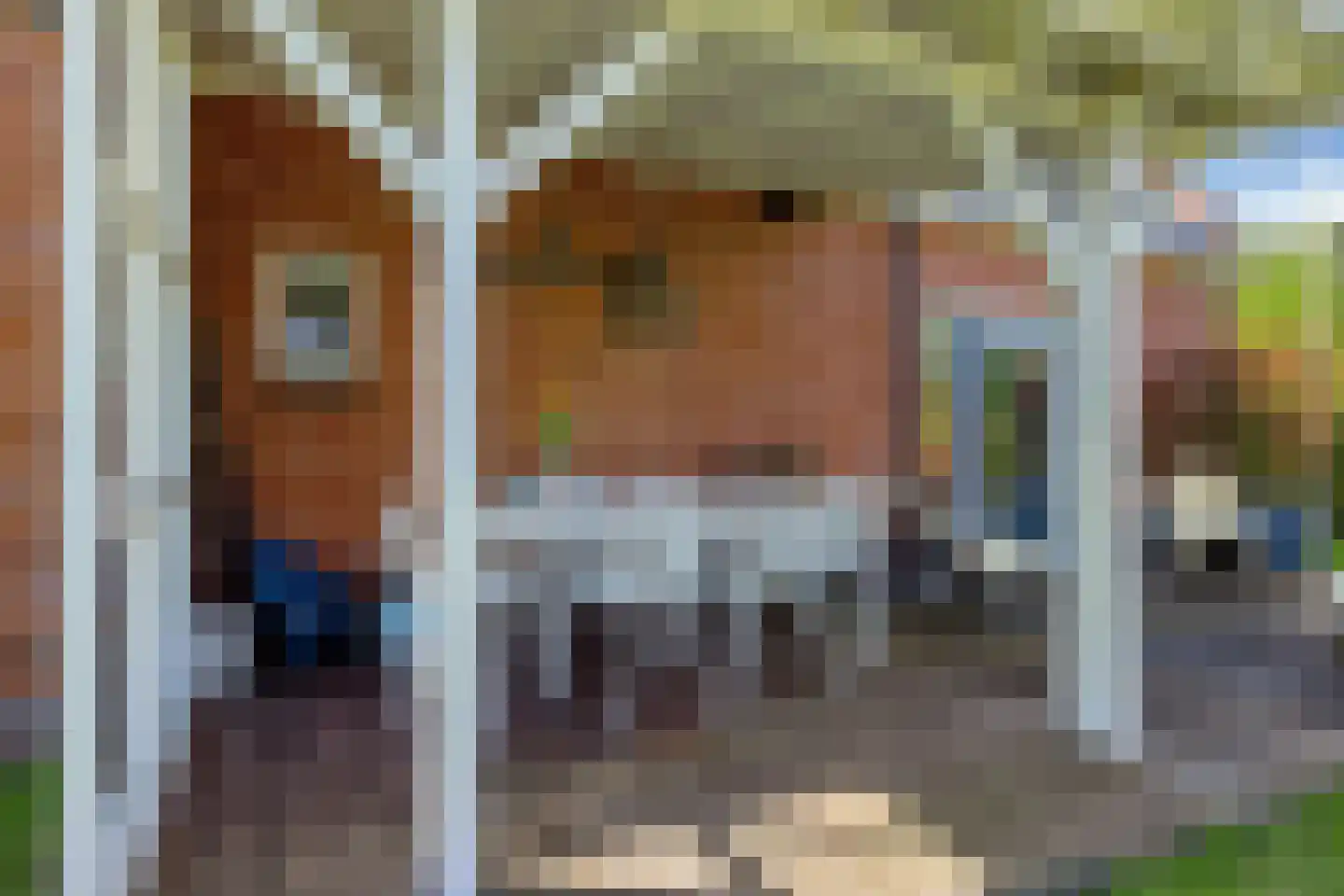 Allemawei 3 Aldwâld thumbnail 90