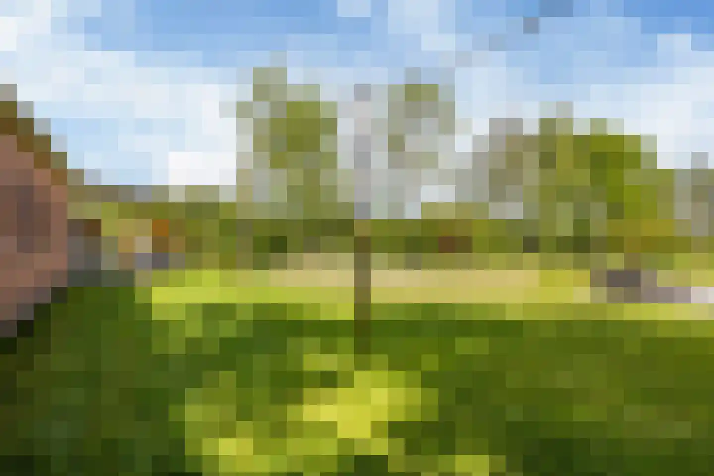 Allemawei 3 Aldwâld thumbnail 93