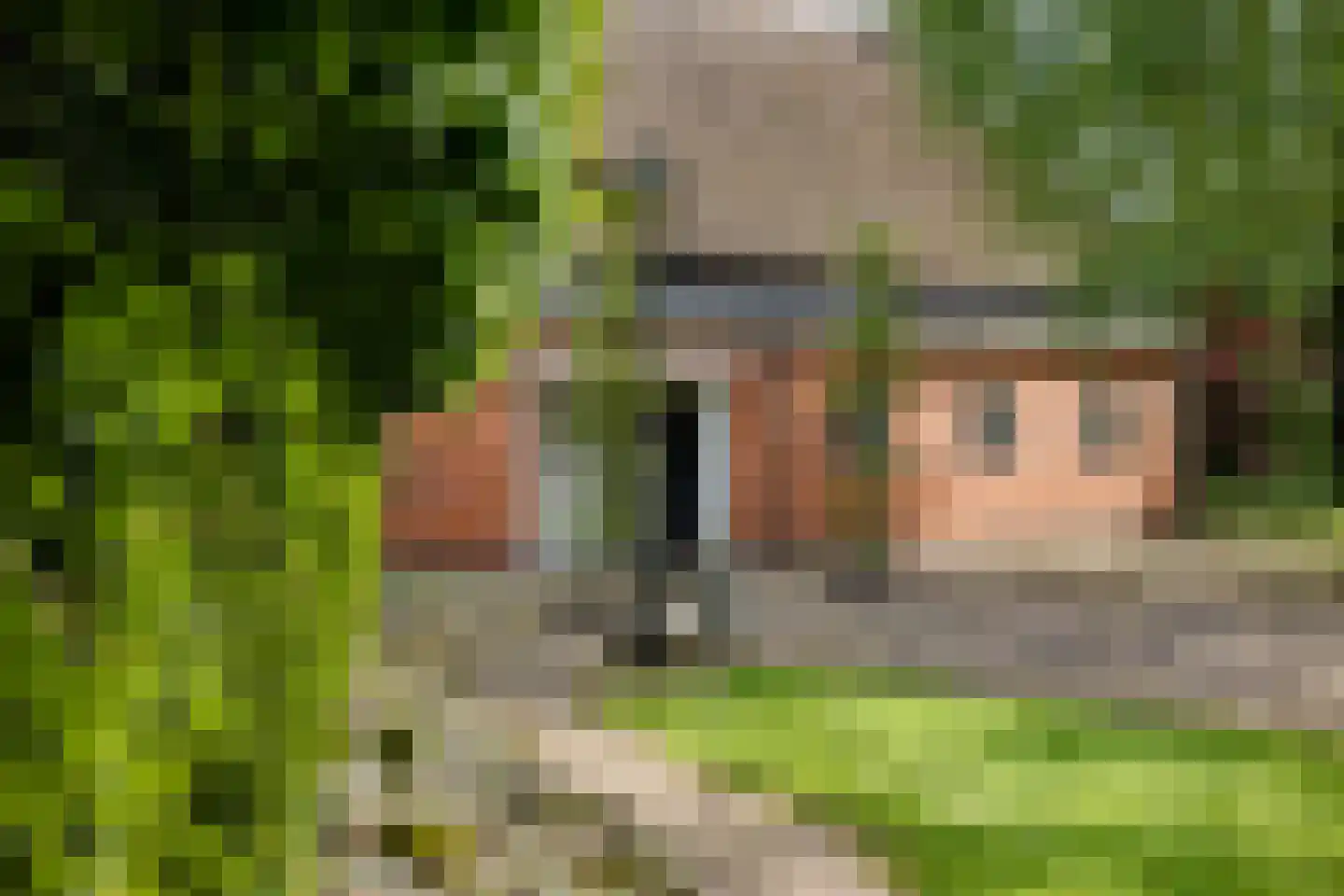 Allemawei 3 Aldwâld thumbnail 94