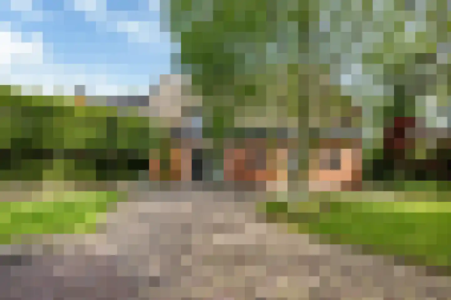 Allemawei 3 Aldwâld thumbnail 95