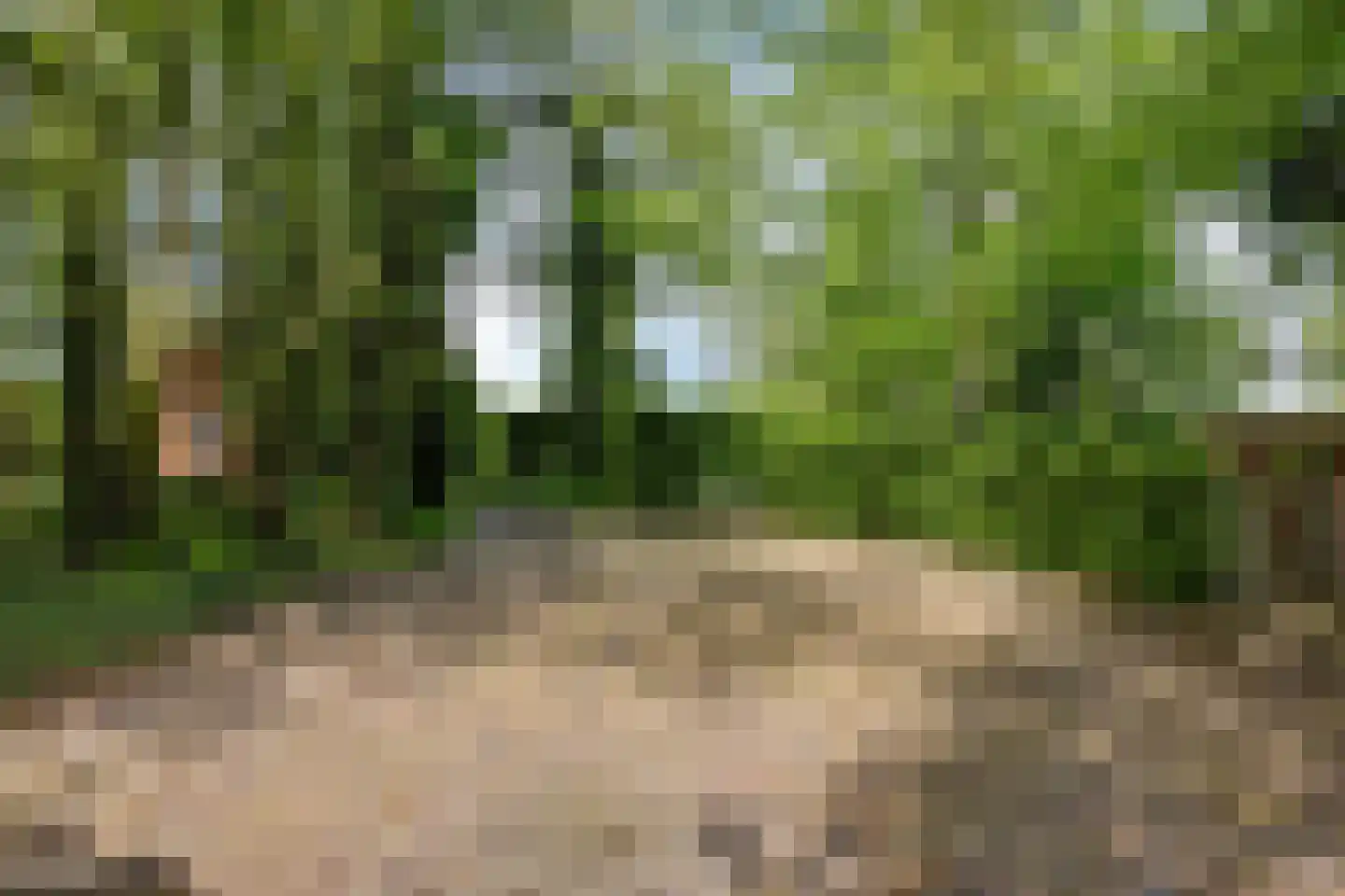 Allemawei 3 Aldwâld thumbnail 97
