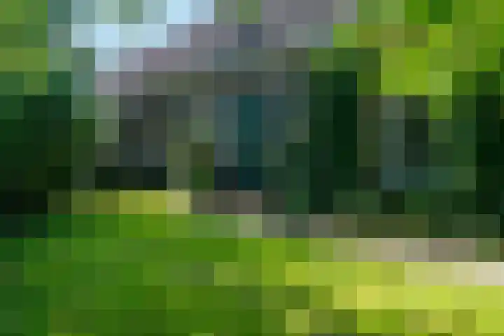 Allemawei 6 Aldwâld thumbnail 10