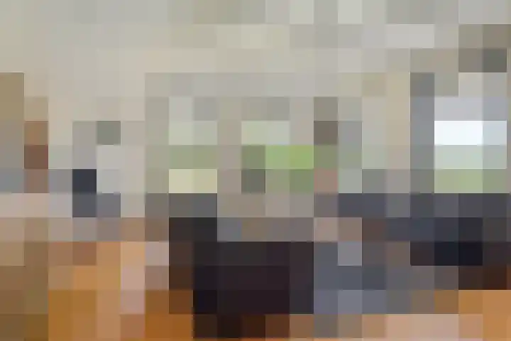 Allemawei 6 Aldwâld thumbnail 11