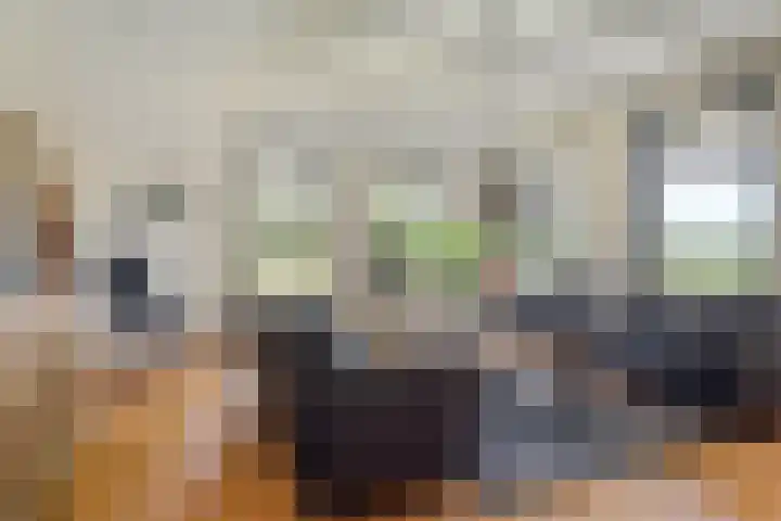 Allemawei 6 Aldwâld thumbnail 14
