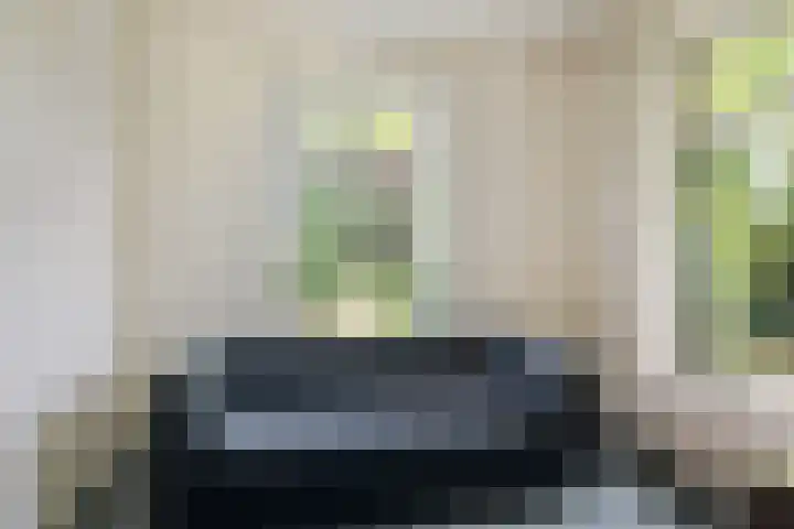 Allemawei 6 Aldwâld thumbnail 17