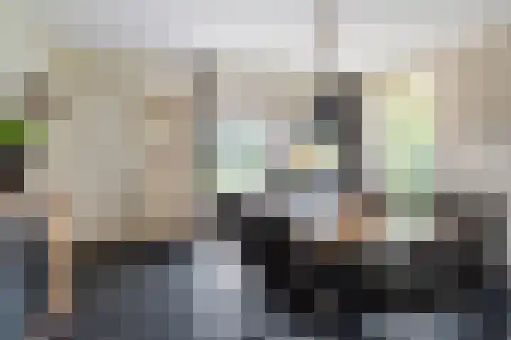 Allemawei 6 Aldwâld thumbnail 20