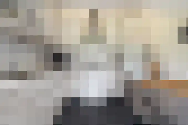 Allemawei 6 Aldwâld thumbnail 22