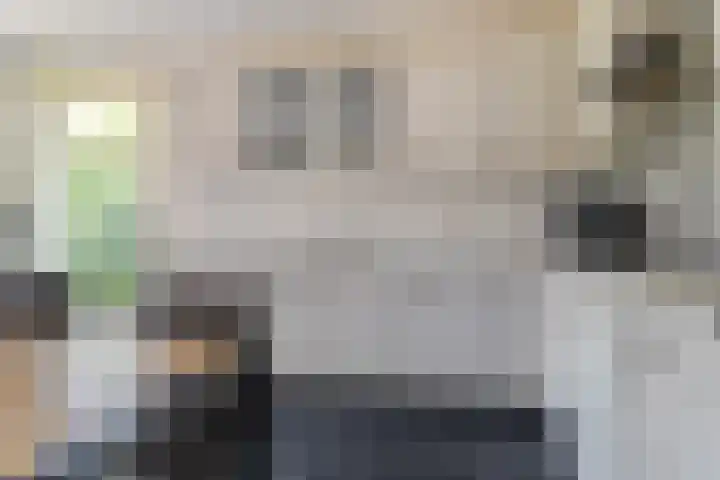 Allemawei 6 Aldwâld thumbnail 23