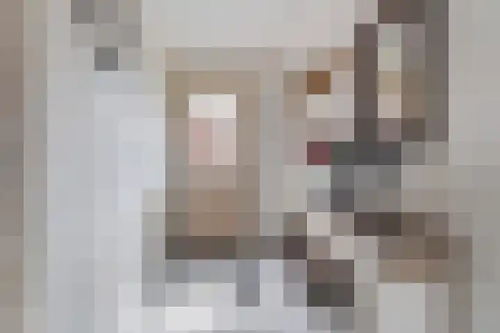 Allemawei 6 Aldwâld thumbnail 24