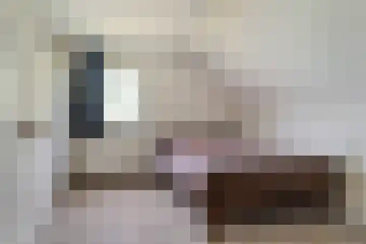Allemawei 6 Aldwâld thumbnail 29