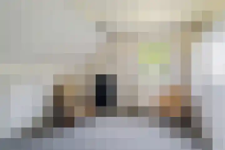 Allemawei 6 Aldwâld thumbnail 35