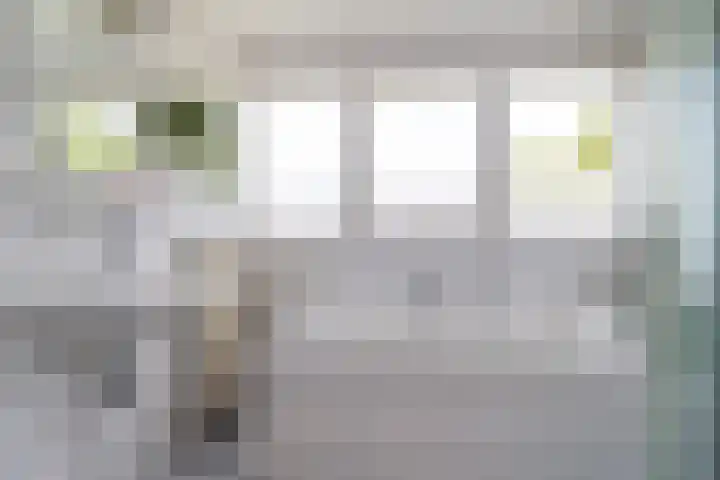 Allemawei 6 Aldwâld thumbnail 37