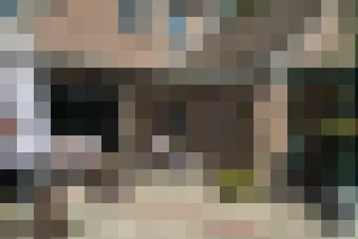 Allemawei 6 Aldwâld thumbnail 39
