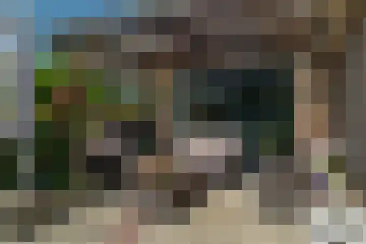 Allemawei 6 Aldwâld thumbnail 40
