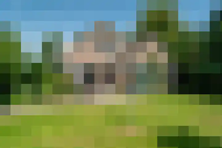 Allemawei 6 Aldwâld thumbnail 41